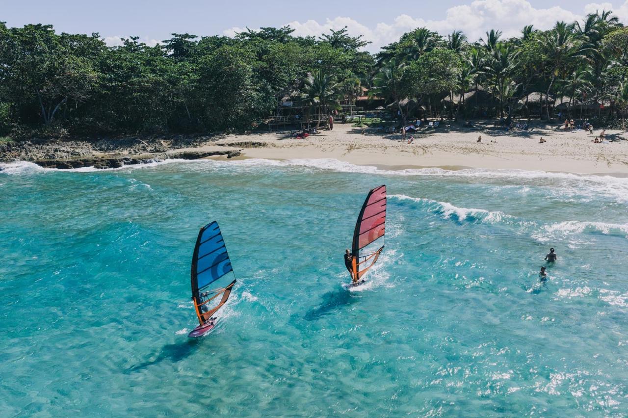 50bada0c-63dd-4c6a-8fa6-613283317955