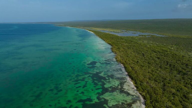 52441012694da29c414b5k-97e89b18-focus-0-0-896-504-049f8ce9