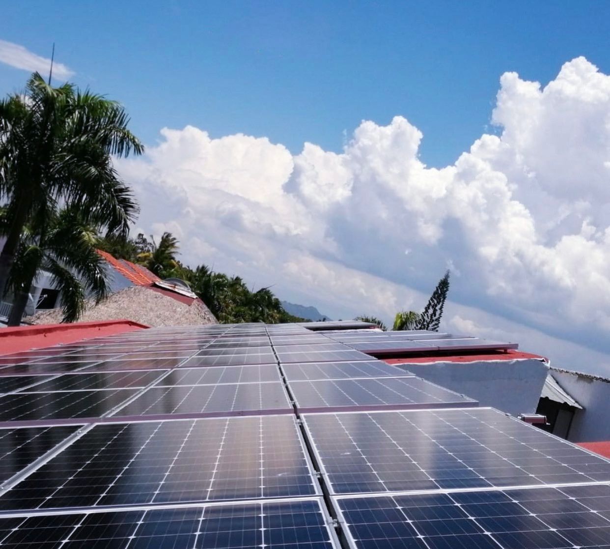 WhatsApp-Image-2023-04-13-at-09.16.42