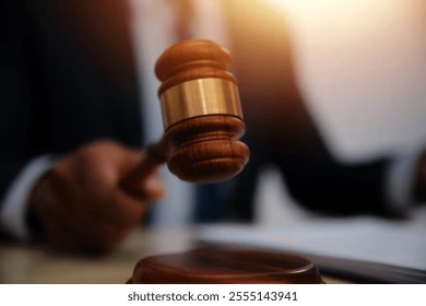 law-theme-gavel-mallet-judge-260nw-2555143941