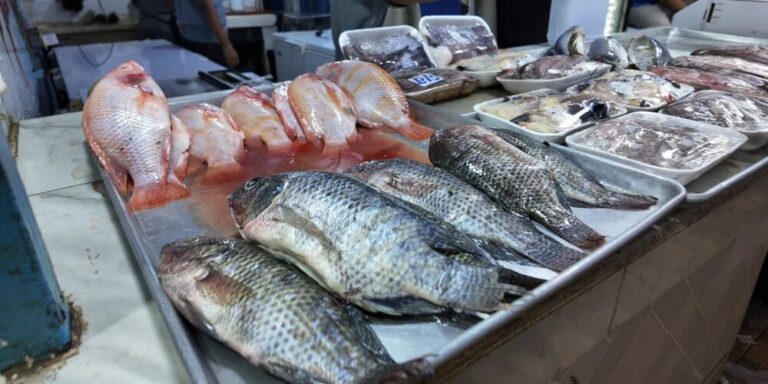 ventas-de-pescado-se-mantienen-bajas;-consumidores-ven-estables-los-precios