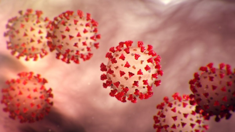 autoridades-recomiendan-precaucion-ante-aparicion-de-nueva-variante-del-covid-19