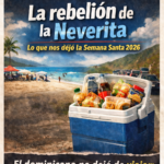 782B542E-FB63-431F-80C8-74292A382290