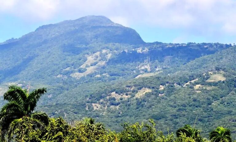 Alianza País condena intento explotación minera Cordillera Septentrional