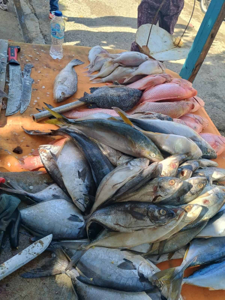 comerciantes-san-crist-bal-pescado-reportan-fluctuaciones-ve