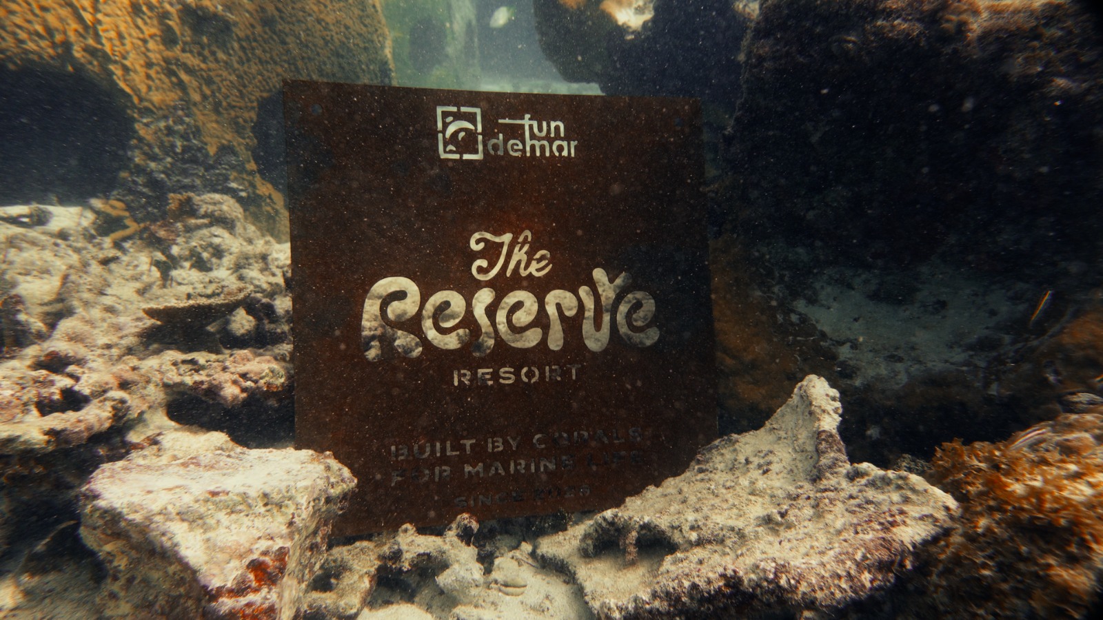 crean-hotel-submarino-preservar-arrecifes-especies-en-rd-un-