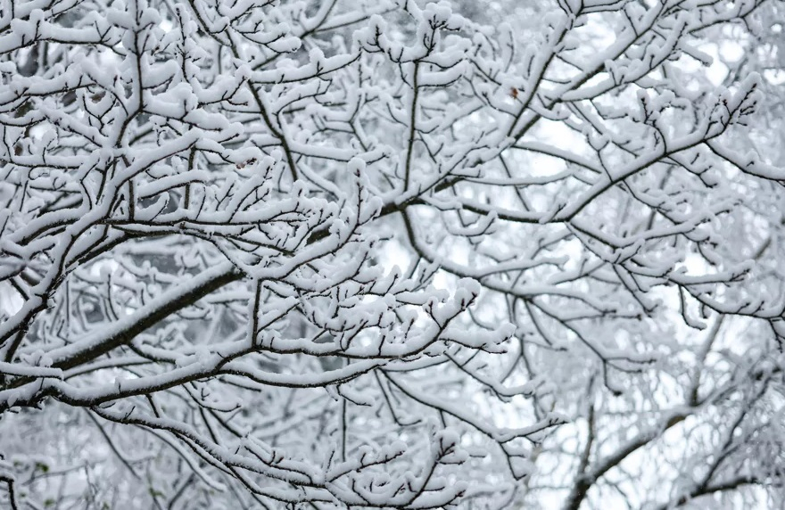 Moscú bajo alerta naranja por intensas nevadas y fuertes vientos