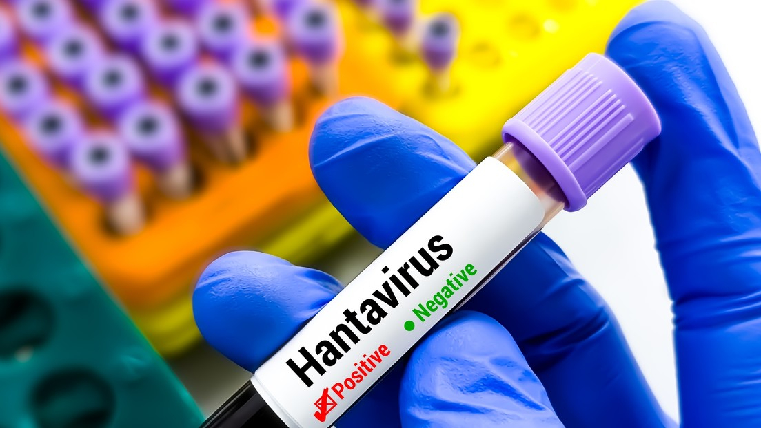 La mortalidad por hantavirus entre adolescentes alcanza el 50 %, revela nueva investigación