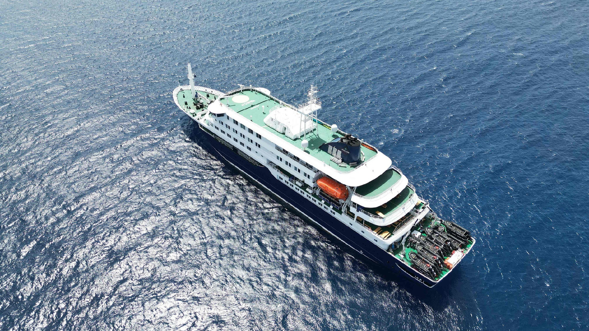 La OMS eleva a 8 los casos de hantavirus en el crucero que salió desde Argentina