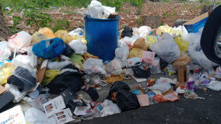 Crisis sanitaria en el 30 de Mayo, basura, ratas y hedor desesperan a familias