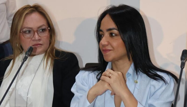 Faride Raful llama a reforzar la cooperación en seguridad para afrontar desafíos migratorios