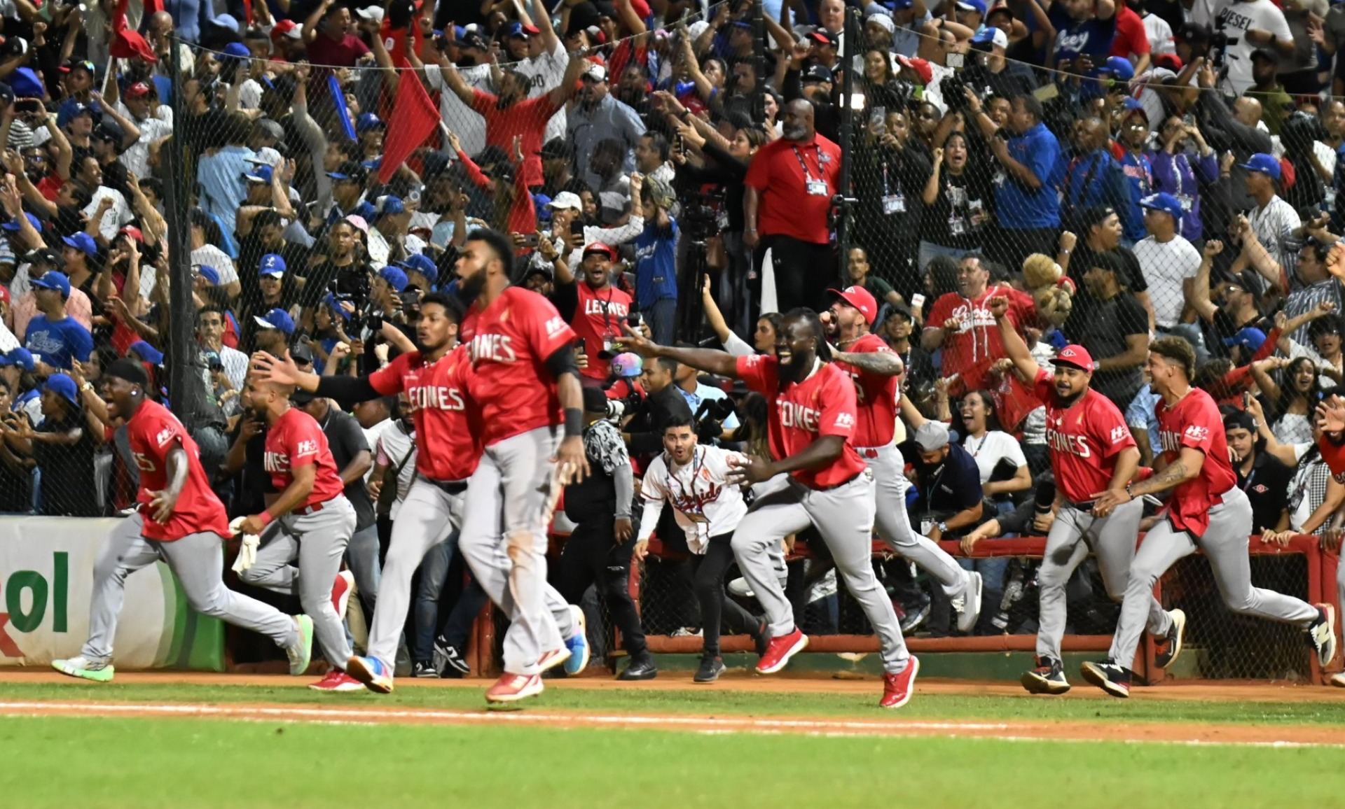 Leones del Escogido inician venta y renovación de abonos para temporada 2026-27