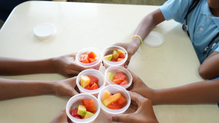 230 MM de raciones de frutas de INABIE el pasado año escolar