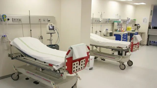 Cadena Restaurantes Causó 5000 Brote Parásito Intestinal De
