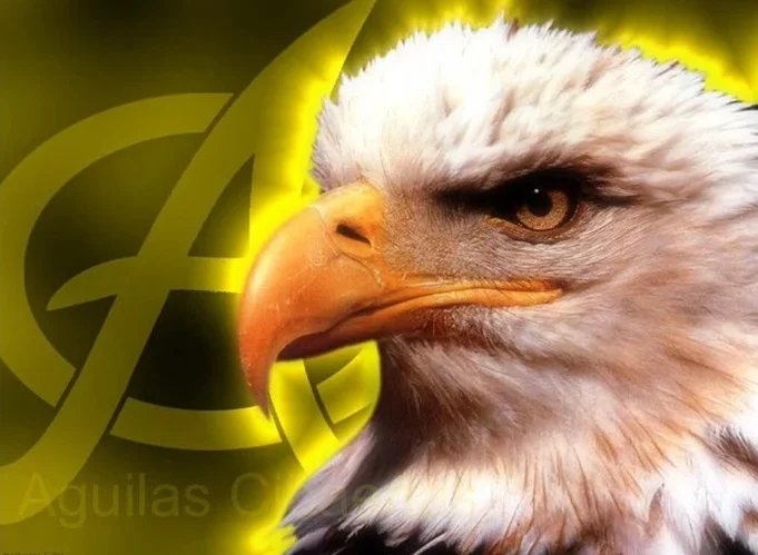 Águilas Cibaeñas Inician Venta Renovación Abonos Temporada Y De Para La