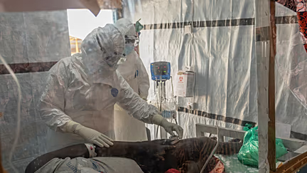 Sale del hospital 1er caso de ébola de Francia, curado y dado de alta