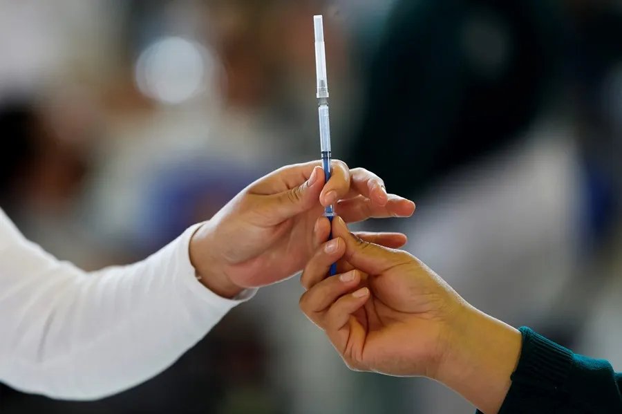 Vacuna Experimental Prevenir Cáncer Páncreas Ofrece Resultados